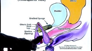 Squirting Tutorial 2 with the ultimate pussy licking expert