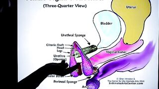 How to squirt? The best explanation, faster than ever! Mr PussyLicking