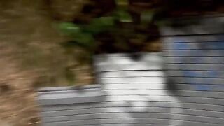 A woman meets a stranger in the park and has sex with him there