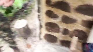 A couple is having fun in the jungle and getting caught