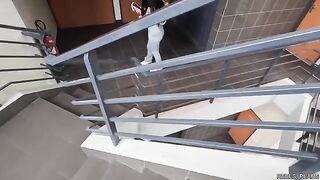 Fake agents fucked Chilean model in elevator and toilet