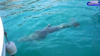 A hot girl is fucking with her guy on the boat on the island