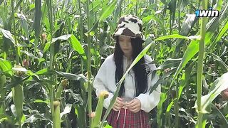 Security guard caught a thief in the cornfield and issued a ticket