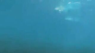 Underwater sex with aqualung-equipped lovers