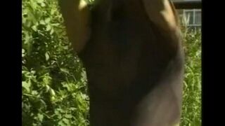 A man plays with his big dick in the hayloft, embodying raw passion