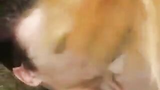 Young slut got her pussy sucked in the park