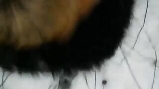A hot winter day and a free blowjob on the street