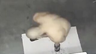 A spy camera in the shower captured a naked man, sparking intense reactions