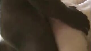 A naked girl took a bath and had sex with her husband’s friend