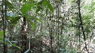 A breath of fresh air and her warm lips on my cock in HD