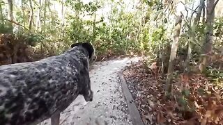 A hot guy had sex with a girl in the jungle