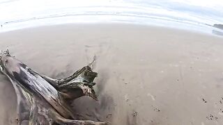 The beach is always wet — from the water and other reasons